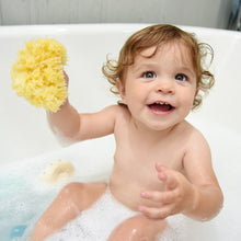 Load image into Gallery viewer, natural sea sponge by bathtime experts cuddledry