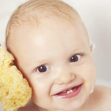 Load image into Gallery viewer, natural sponge for baby skin washing