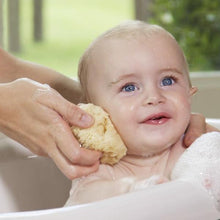 Load image into Gallery viewer, sea sponge for washing baby